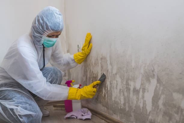 Best Industrial Mold Remediation  in Piedmont, OK